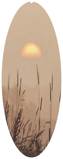 DNSA18-334-BZ Harvest Sunrise Bronze